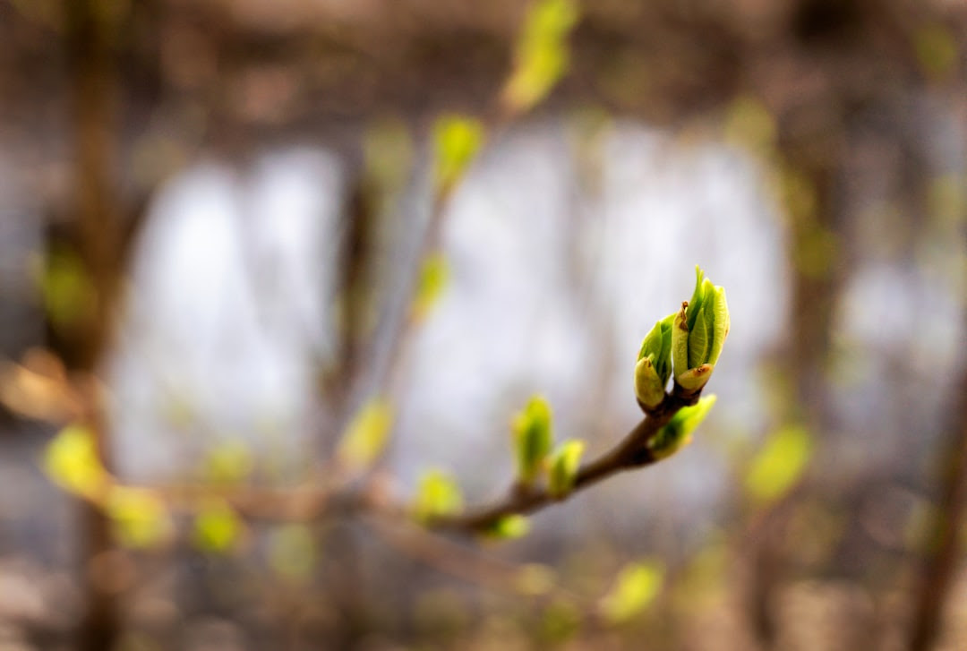Canada's Spring Housing Market Delay: What Ontario Landlords Need to Know